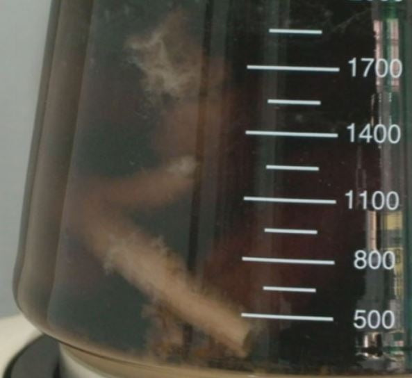 Red Ginseng Extractor (홍삼액 제조기)