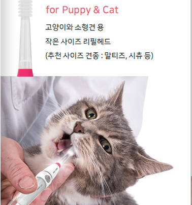 [MEGA TEN] Pet Sonic Toohbrush for Pet
