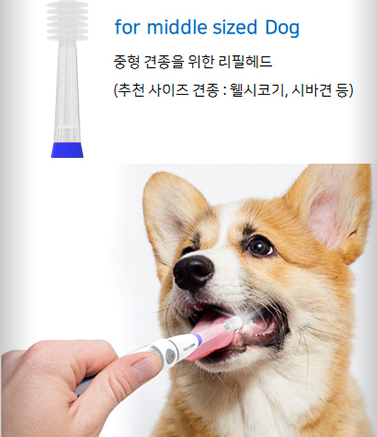 [MEGA TEN] Pet Sonic Toohbrush for Pet