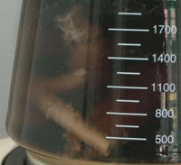 Red Ginseng Extractor (홍삼액 제조기)