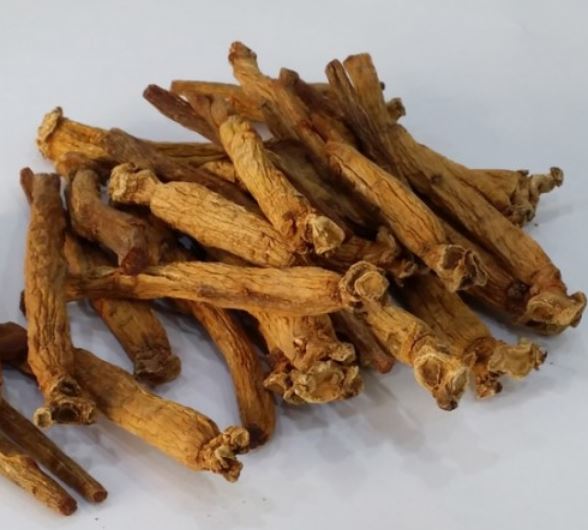 Red Ginseng Extractor (홍삼액 제조기)
